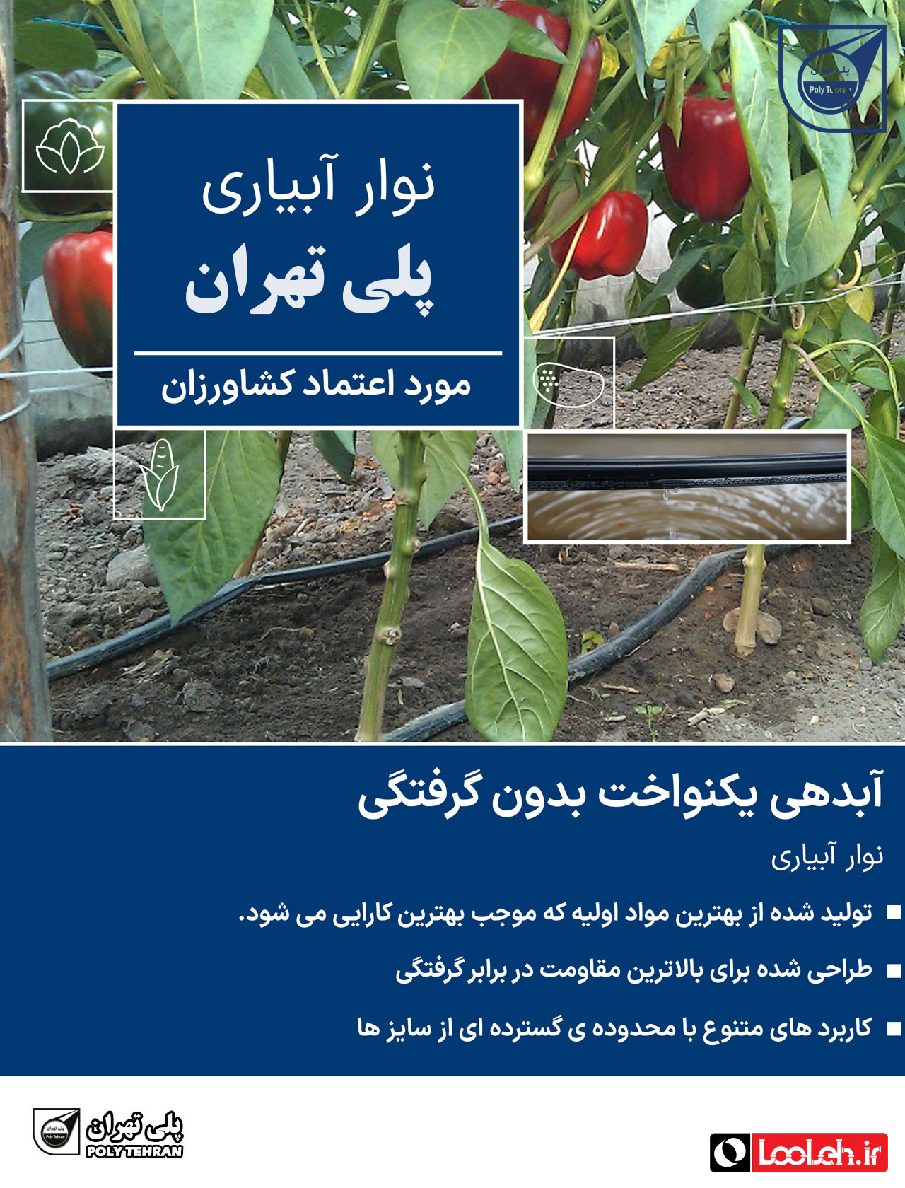 تصویر و توضیحات نوار آبیاری قطره ای